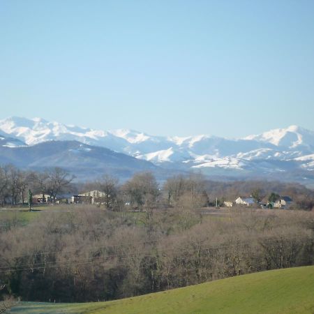 Bearn Bed & Breakfast Pau Bagian luar foto