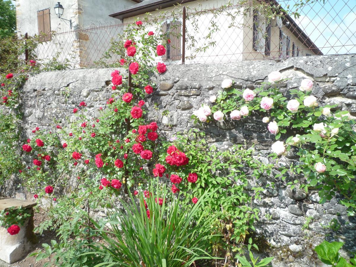 Bearn Bed & Breakfast Pau Bagian luar foto